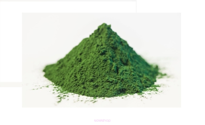 Chlorella w proszku