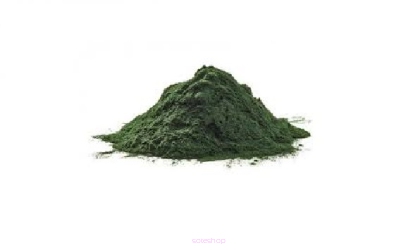 Spirulina w proszku